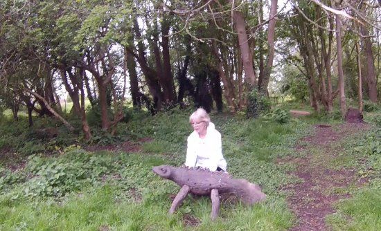 Spindleberry Nature Park